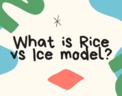 What is Rice vs Ice model?