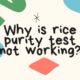 Why is rice purity test not working?