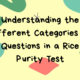 Understanding the Different Categories of Questions in a Rice Purity Test
