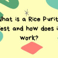 What is a Rice Purity Test and how does it work?
