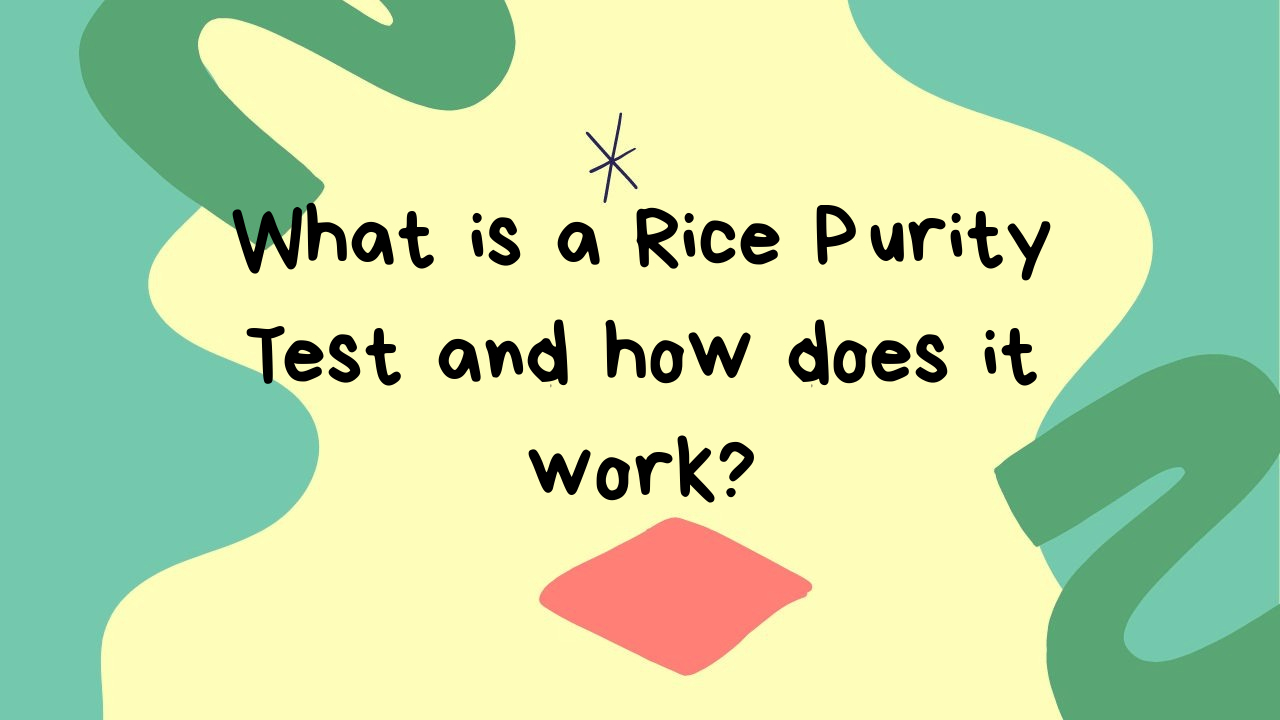 What Is A Rice Purity Test And How Does It Work?